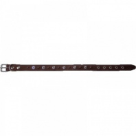 Ошейник кожа 25 мм (подкл шипы)