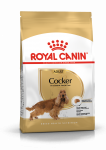 Корм для взрослых собак Royal Canin Cocker Adult сухой для породы Кокер Спаниель от 12 месяцев, 3 кг