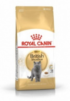 Корм для взрослых британских короткошерстных кошек Royal Canin British Shorthair Adult сухой сбалансированный , 2 кг 